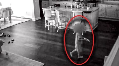 Babysitter Hears Noise Upstairs So Dad Checks Hidden Camera And Captures A Nightmare In His Kitchen