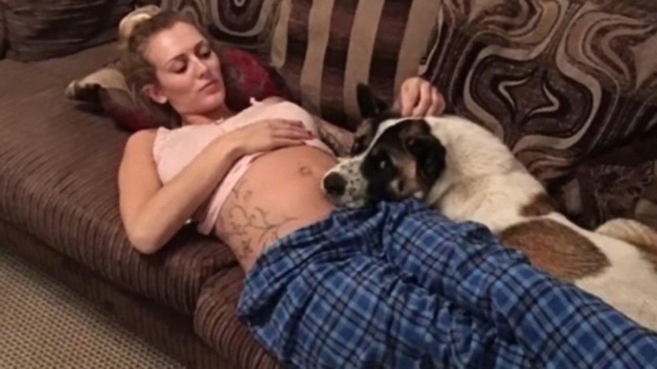 Pregnant Woman’s Dog Wouldn’t Stop Barking At Her Belly Then She Realized It Was Trying To Warn Her